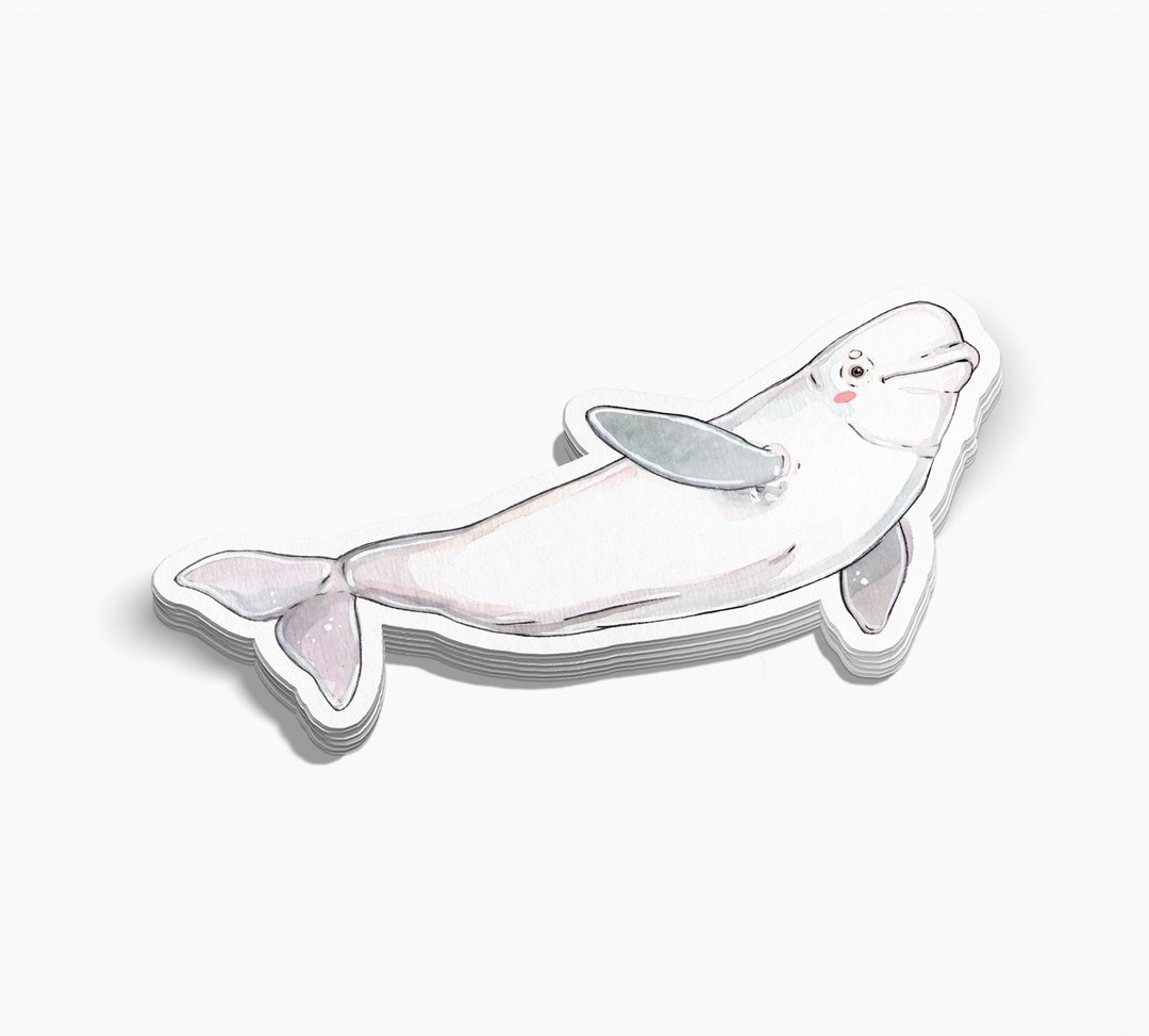 Beluga - Individual STICKER | Sticker | Fish Sticker | Fisherman ...