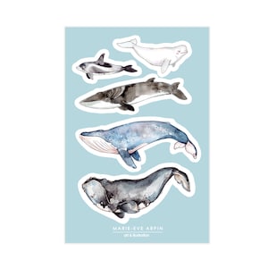 FEUILLES D'AUTOCOLLANTS - Les Baleines | Sticker | Collants Nature | Animaux Marins| Béluga | Illustration | Marie-Eve Arpin | Fait Quebec