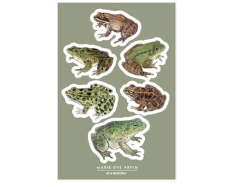 STICKER SHEETS - The Frogs | Sticker | Amphibian Tights | Animals Nature | Illustration | Marie-Eve Arpin | Made in Quebec