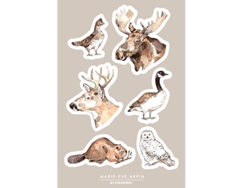 STICKER SHEETS - Wildlife | Sticker | Moose Deer Tights | From our forests | Animals | Marie-Eve Arpin | Made in Quebec