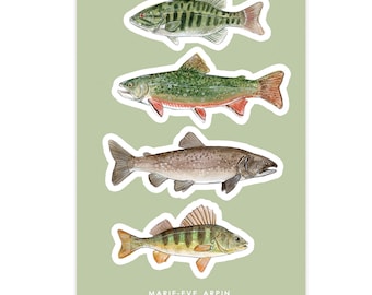 STICKER SHEETS - The Freshwater Fishes of Quebec | decal | Peach Tights | illustration | Marie-Eve Arpin | Made in Quebec