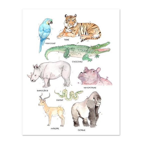 Buy Small Format Poster Jungle Animals Species Biology Online in India - Etsy Buy Small Format Poster Jungle Animals Species Biology Online in India - Etsy