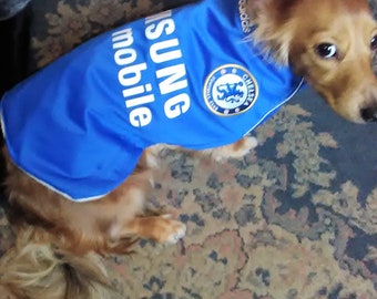 aston villa dog coat