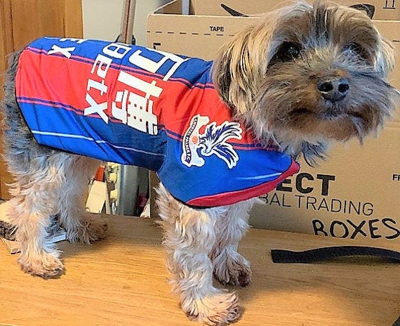 ANY Team DOG Football Shirt Upcycled From HUMAN Shirts 