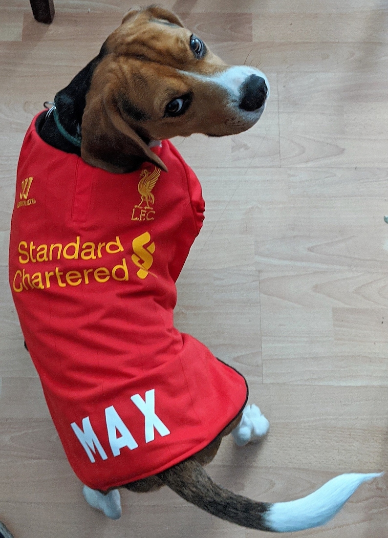 ANY Team DOG Football Shirt Upcycled From HUMAN Shirts Etsy New Zealand