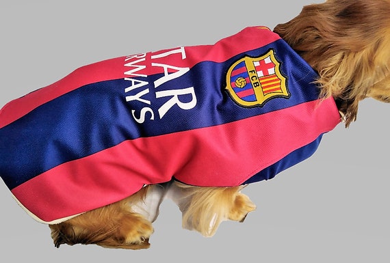 Ø¥Ù†ÙƒÙˆÙ…ÙŠÙˆÙ… Ø¥Ø±Ù†Ø³Øª Ø´Ø§ÙƒÙ„ØªÙˆÙ† Ø§Ù„Ù…Ø«Ù„ Fc Barcelona Dog Jersey Natural Soap Directory Org