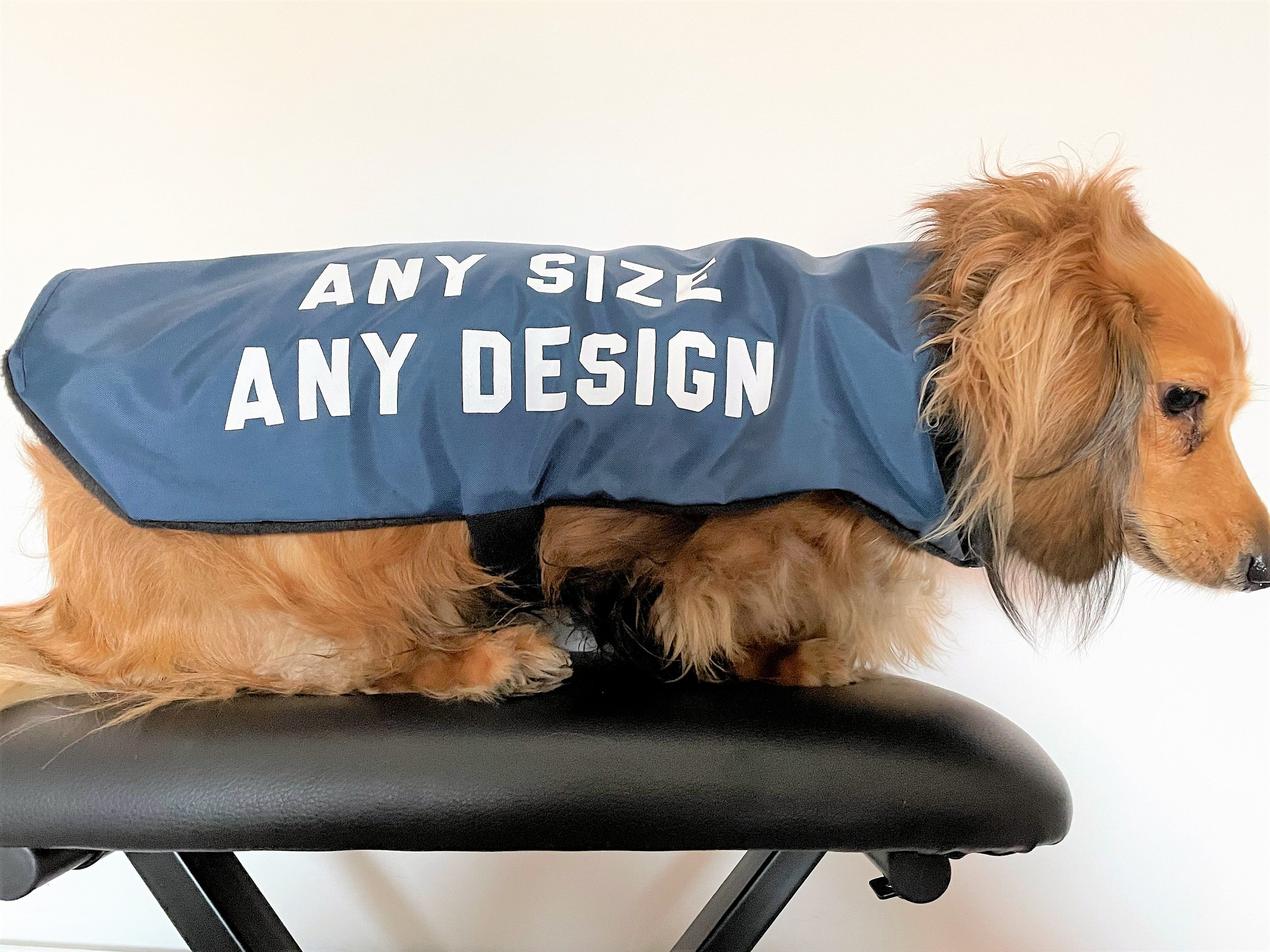 personalised dog clothes uk