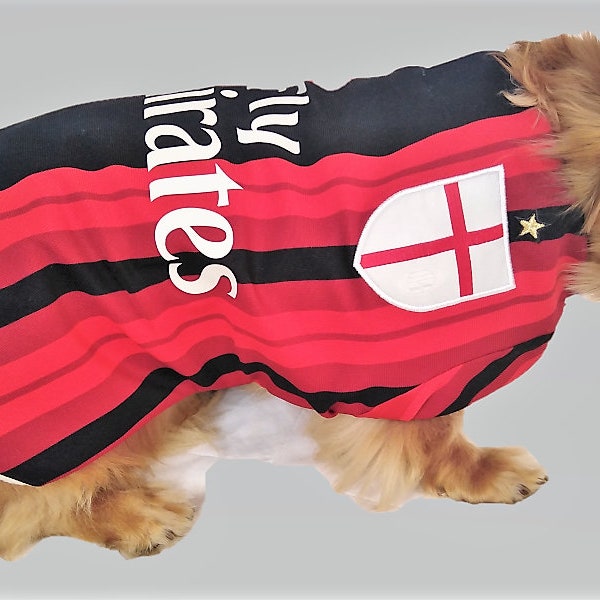 ANY Team DOG football shirt - upcycled from HUMAN shirts - Waterproof, Personalised Free. Please see Item Details below.