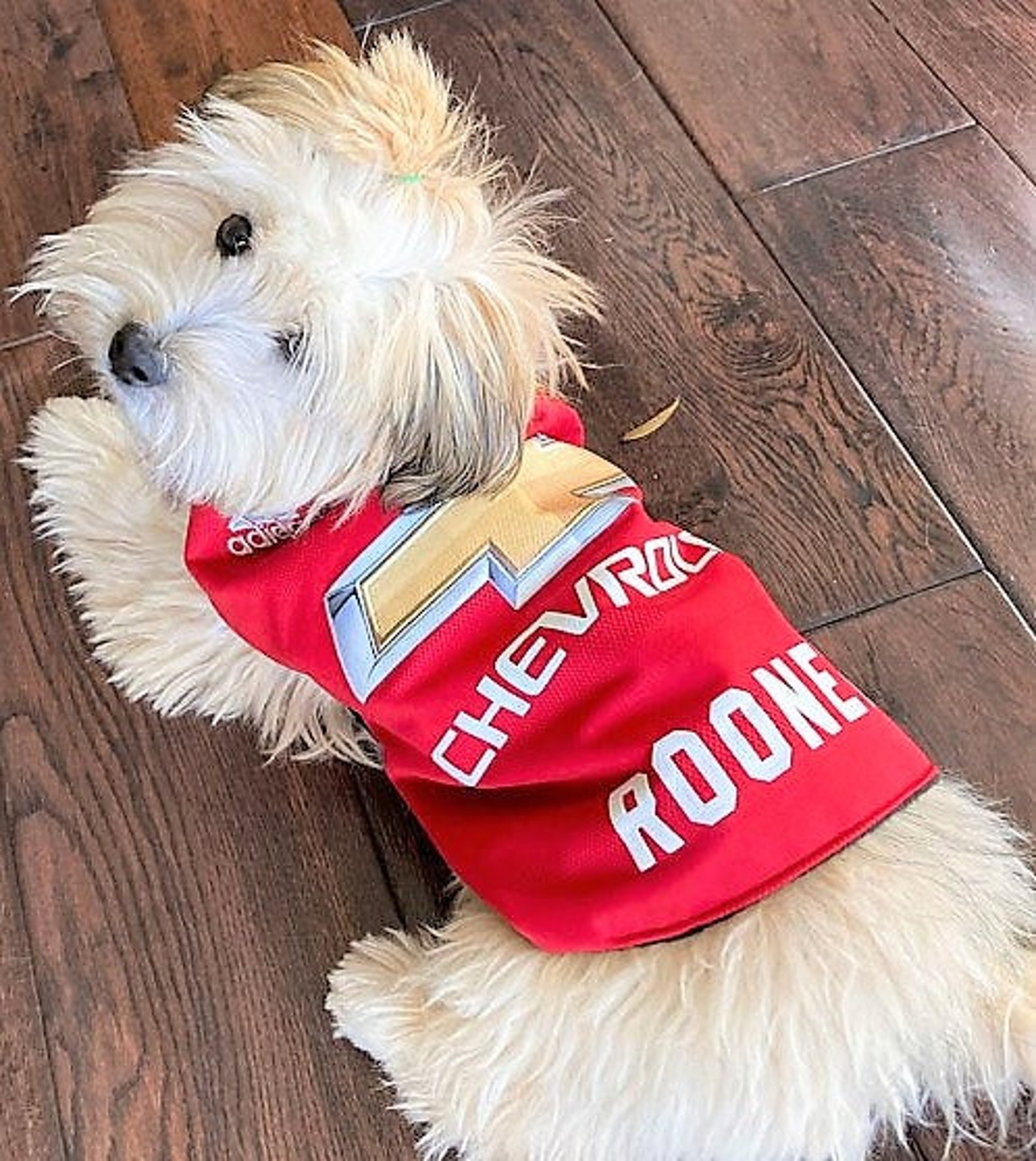 ANY Team DOG football shirt upcycled from HUMAN shirts Etsy