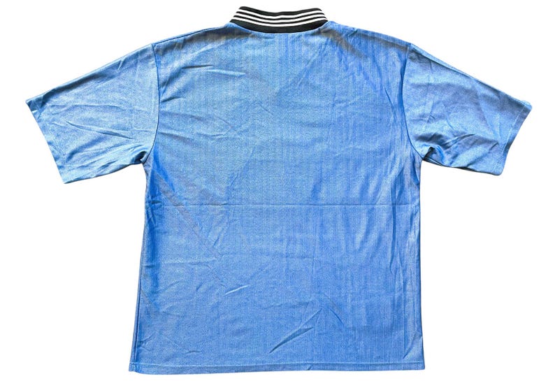 May include: A light blue short-sleeved shirt with a black and white striped collar.