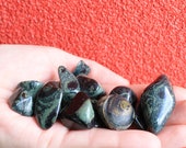 ONE Kambaba Jasper Tumbled Stone Chakra Healing Stones and Crystals Wedding Gifts Feng Shui Home Decor Reiki Gemstone Wicca