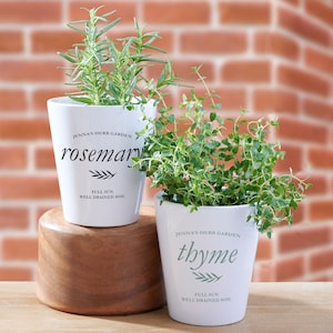May include: Two white ceramic pots with green plants. The pot on the left has the text "Jenna's Herb Garden rosemary FULL SUN WELL DRAINED SOIL" and the pot on the right has the text "Jenna's Herb Garden thyme FULL SUN WELL DRAINED SOIL".
