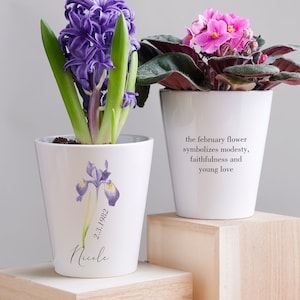 May include: Two white ceramic flower pots with plants. The pot on the left has a purple hyacinth and an illustration of a purple iris with the text "Nicole 2.3.1982". The pot on the right has a pink African violet and the text "the february flower symbolizes modesty, faithfulness and young love".