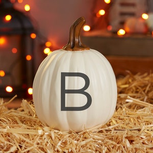 May include: A white ceramic pumpkin with a brown stem and the letter "B" in dark gray. The pumpkin is sitting on a bed of straw, with blurred string lights in the background. A decorative fall-themed item.