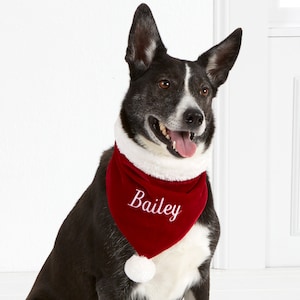Santa Paws Personalized Velvet Dog Bandana, Custom Christmas Gift for Dog Lovers, Dog Gift, Dog Clothes, Christmas Decor