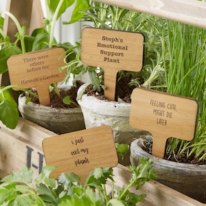 May include: Four wooden plant markers with humorous sayings. The markers are brown and have white text. The sayings are: "There were others before me Hannah's Garden", "Steph's Emotional Support Plant", "i just wet my plants", and "FEELING CUTE, MIGHT DIE LATER".