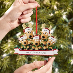 K&ouml;nnte beinhalten: Weihnachtsschmuck mit einer Familie von Rentieren, jeweils mit Namensschild. Der Anh&auml;nger hat ein rotes Band zum Aufh&auml;ngen und einen Banner mit der Aufschrift "THE FITZGERALD FAMILY". Die Rentiere tragen Weihnachtsm&uuml;tzen und gr&uuml;ne Schals.
