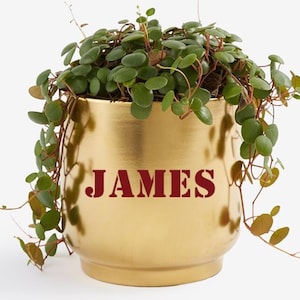 Personalized Name Gold Flower Pot – Custom Ceramic Planter with Initial – Modern Metallic Plant Pot Gift for Mother’s Day