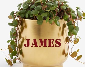 Personalized Name Gold Flower Pot – Custom Ceramic Planter with Initial – Modern Metallic Plant Pot Gift for Mother’s Day