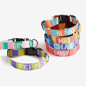May include: A collection of colorful dog collars with names printed on them. The collars feature a striped pattern in various colors, including pink, green, orange, and blue. The names "Ginger", "Pepper", "Sunny", "Max", "Charlie", and "Daisy" are displayed in white.
