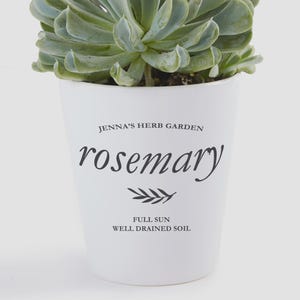 May include: A succulent plant in a white ceramic pot with black text that reads JENNA'S HERB GARDEN, rosemary, and a small leaf icon, followed by the text FULL SUN and WELL DRAINED SOIL. The plant has thick, light green, fleshy leaves.