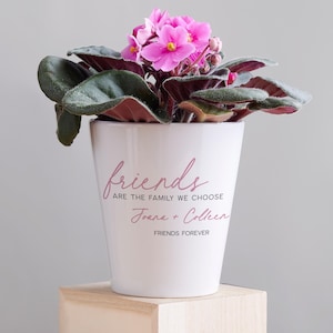 May include: A white ceramic flower pot with the text "friends are the family we choose" and the names "Joana + Colleen". The pot contains a vibrant African violet plant with pink flowers and dark green leaves.