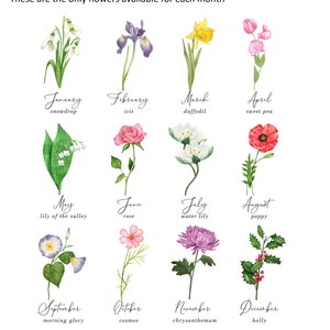 Pu&ograve; includere: Illustrazioni ad acquerello di fiori che rappresentano ogni mese dell'anno. Include bucaneve, iris, narciso, pisello odoroso, mughetto, rosa, ninfea, papavero, convolvolo, cosmo, crisantemo e agrifoglio.