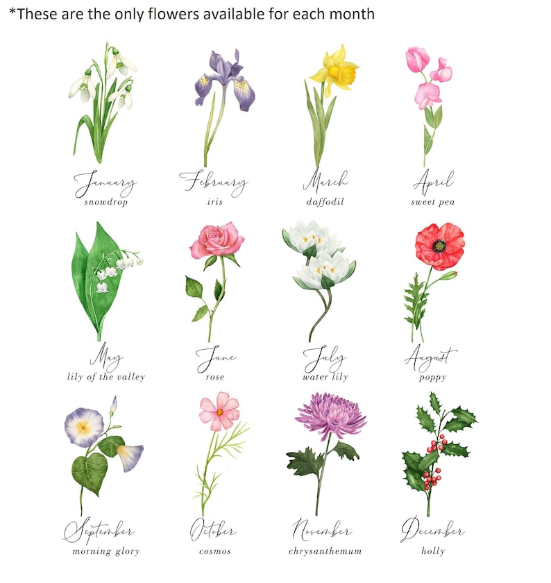 Pu&ograve; includere: Illustrazioni ad acquerello di fiori che rappresentano ogni mese dell'anno. Include bucaneve, iris, narciso, pisello odoroso, mughetto, rosa, ninfea, papavero, convolvolo, cosmo, crisantemo e agrifoglio.