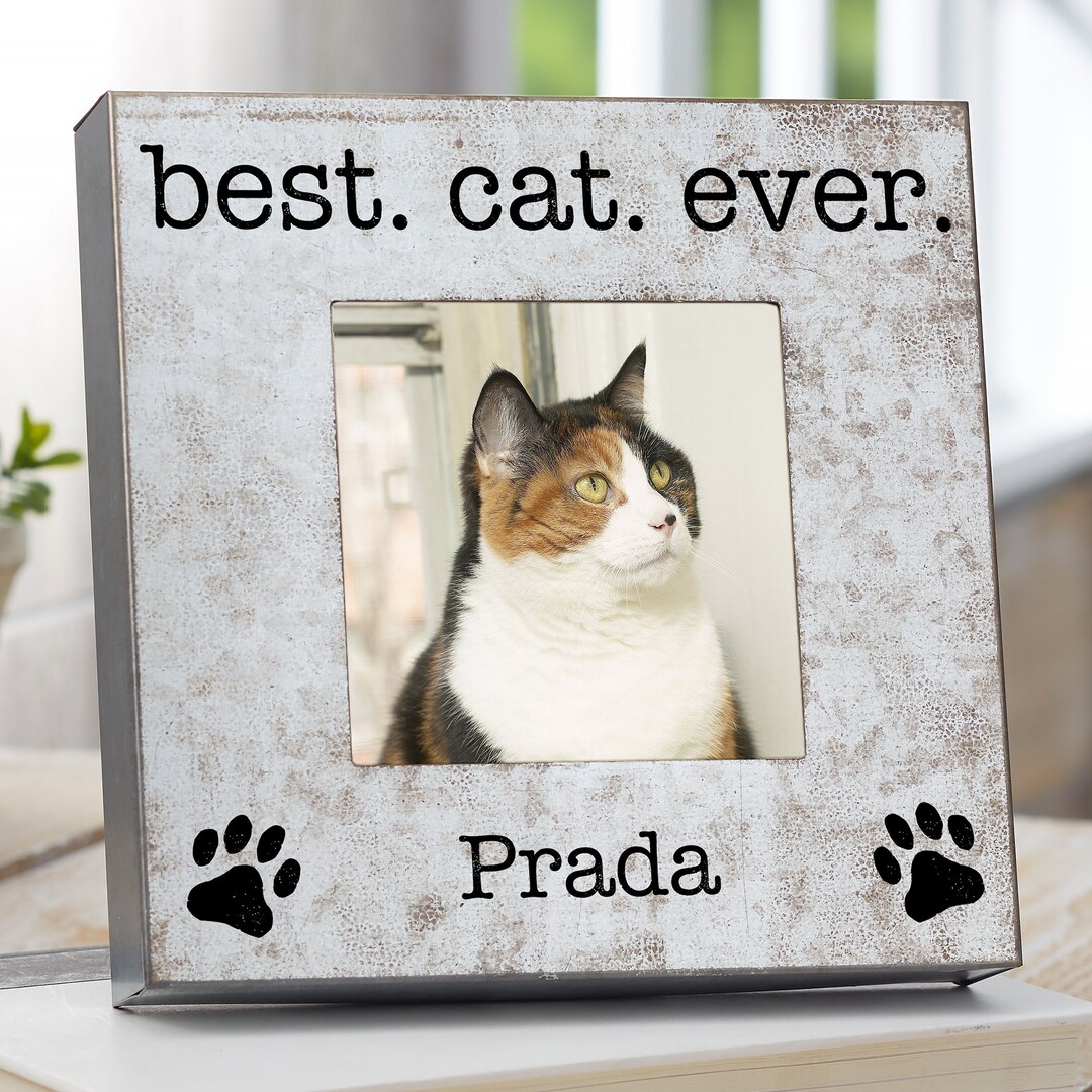 Best.cat.ever. Personalized Frame, Gifts for Pet Lovers, Cat Gifts, Pet Frame, Dog Owner, Cat