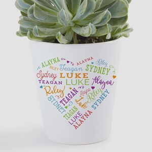 May include: A white ceramic planter containing a green succulent plant. The exterior of the planter features a heart-shaped design composed of the names Alayna, Riley, Teagan, Sydney, and Luke printed in various colorful fonts and sizes.