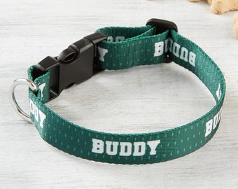 Personalized Dog Collar – Custom Small Dog Leash – Athletic Pet Accessory Decor