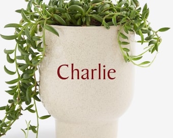 Personalized Name Pedestal Planter Pot – Custom Ceramic Plant Pot – Mother's Day Tan Speckled Modern Planter