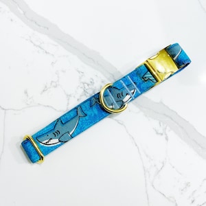 Stay Jawsome Dog Collar, Shark Dog Collar, Sharks Collar, Boy Dog Collar