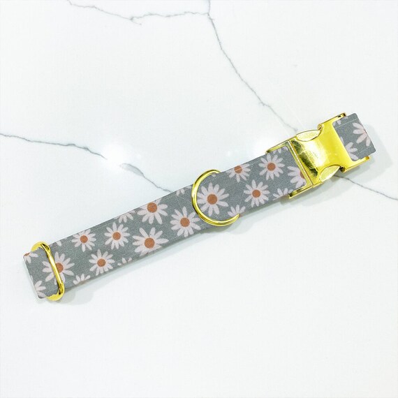 Daisy top dog accessories