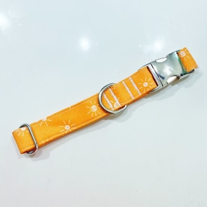 You Are My Sunshine Dog Collar, Fall Dog Collar, Sun Dog Collar, Sunshine Dog Collar, Bright and Cheery Dog Collar