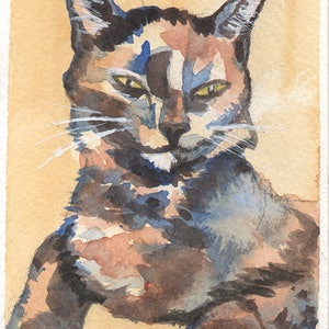 Postal Animal Aquarela 2B