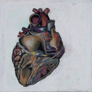 Anatomical Heart - Digital Print