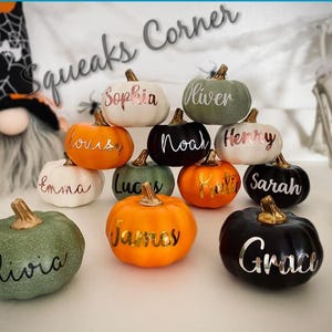May include: A collection of small, decorative pumpkins in orange, black, white, and sage green, each featuring a name in metallic script lettering. The names include Sophia, Oliver, Louisa, Noah, Henry, Emma, Lucas, Katie, Sarah, Olivia, James, and Grace.