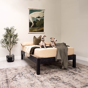 May include: A bedroom with a black wooden bed frame, beige bedding, and two greyhound dogs. A botanical print of a bird hangs on the wall. A decorative rug and a potted plant are also in the room. The bed frame is approximately 200 cm long.