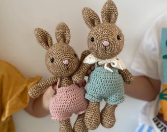 Op de afbeelding: Twee handgemaakte gehaakte konijnenpoppen. Eén konijn draagt een roze romper, de ander een blauwe romper met een witte kraag. Beide hebben bruine lichamen, lange oren en roze neuzen. De poppen worden door onzichtbare handen omhoog gehouden.