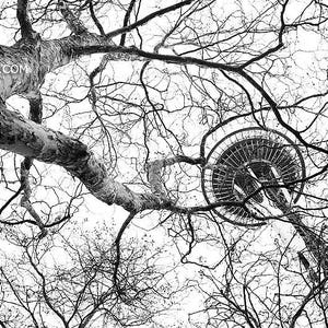 Fine Art Photography Print - Seattle Skyline Washington Fine Art Photography Black and White Photo Print