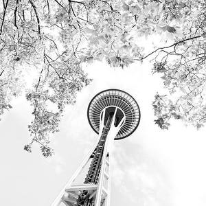 Fine Art Photography Print - Seattle Space Needle Photography Black and White Photo Print