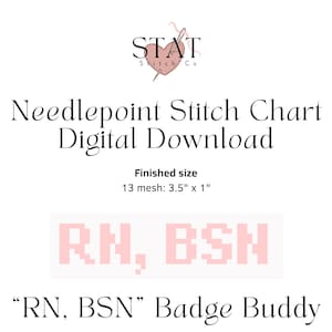 Może przedstawiać: Cyfrowy wykres ściegu krzyżykowego z tekstem "RN, BSN" w różowych pikselowanych literach. Gotowy rozmiar to 8,9 cm x 2,5 cm na 13 oczkach. Obraz zawiera tekst "STAT Stitch Co."