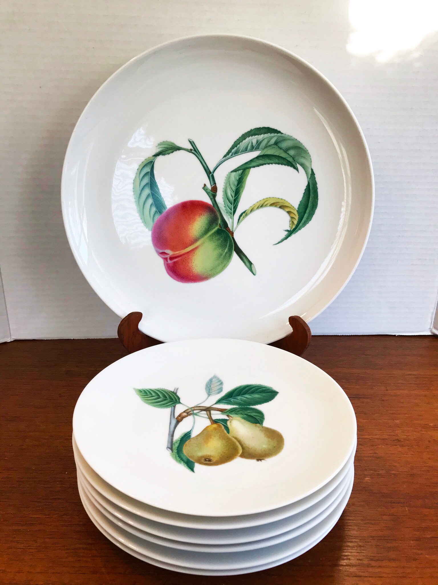 AK Kaiser Porcelain Fruit Plate Set Assorted Fruit Designs Etsy