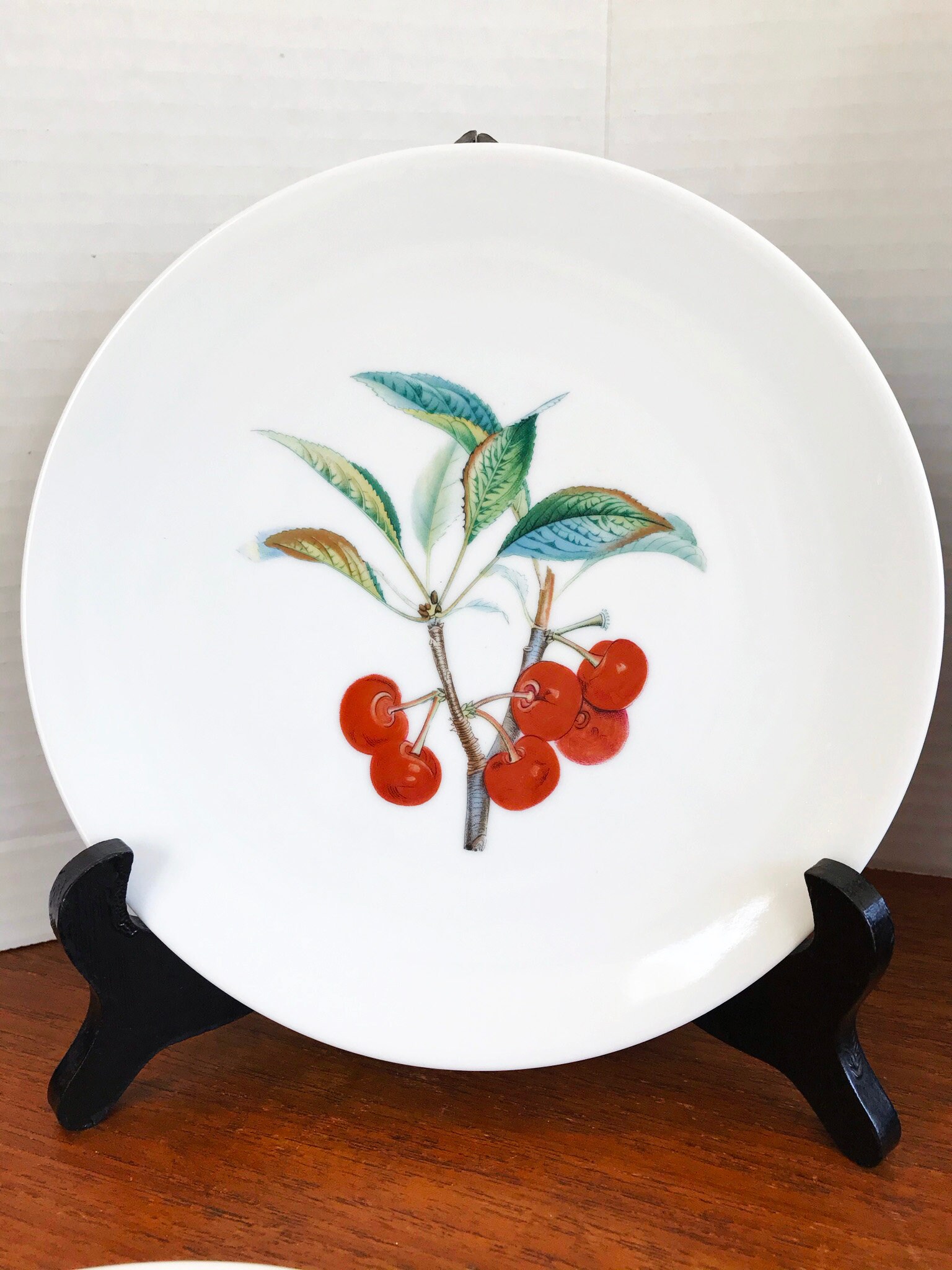 AK Kaiser Porcelain Fruit Plate Set Assorted Fruit Designs Etsy