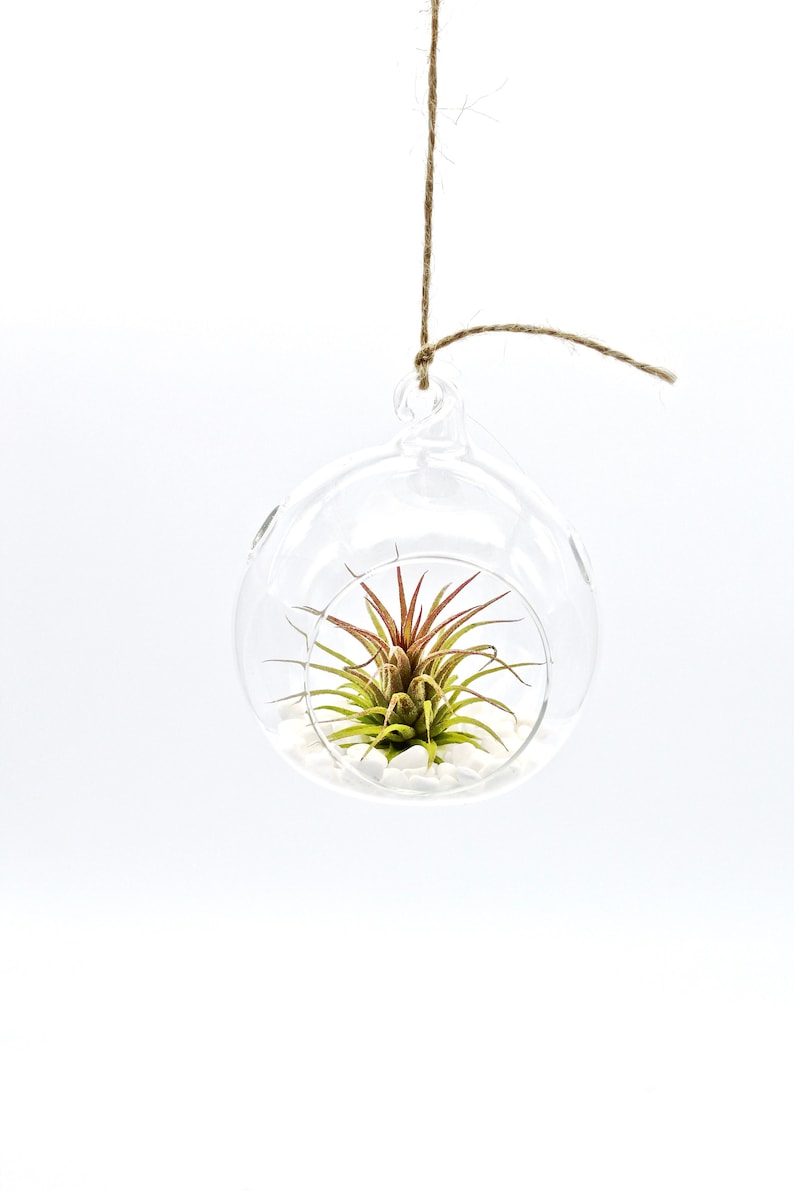 New Home Gift Box Moving Gift Box Housewarming Gift New Etsy