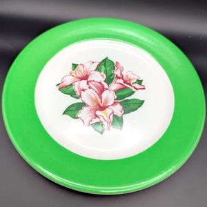 Shenengo China By Dorothy Draper Rhododendron w/Green band