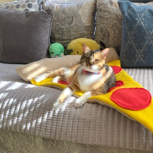 Pet Bed Pizza Slices