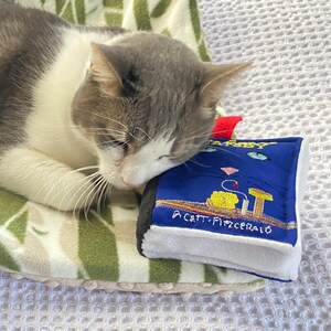 Pet Toy Catnip Books "The Great Catsby" "Purride and Purrejudice" "A Christmas Carol" " A Tails of two Kittens"