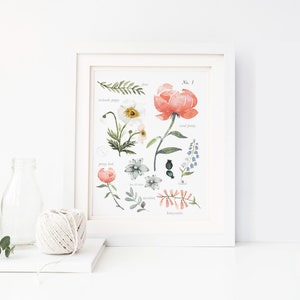 Botanical Flower Identification -  Art Print - Multiple Sizes